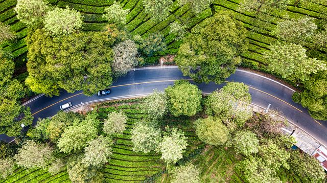 Sustainable driving